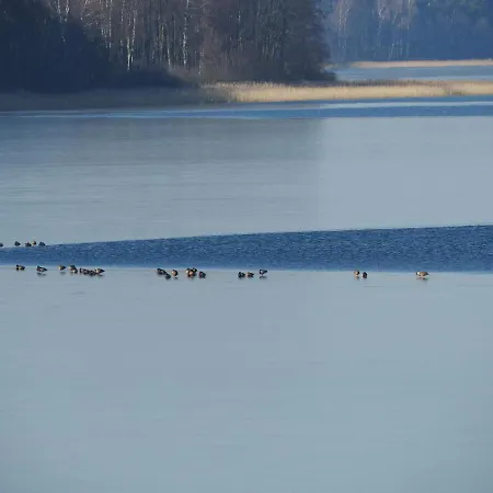 Деревянный коттедж Zakatek Borsk, Jasnochowka 2, 37 Борск