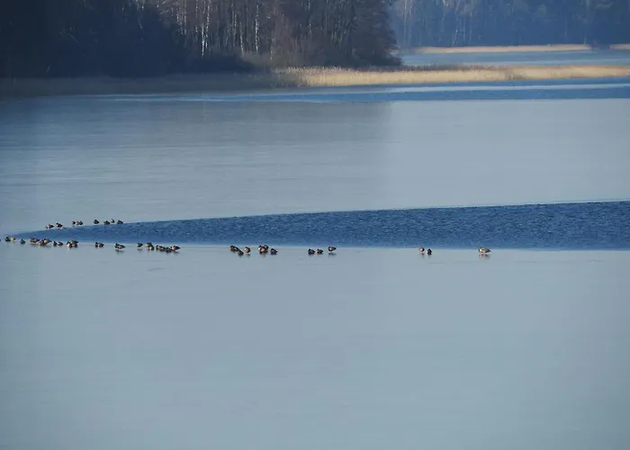 Chata Zakatek Borsk, Jasnochowka 2, 37 Borsk
